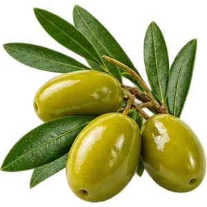 Aceite de oliva